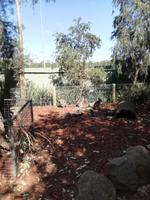 Australien Featherdale Wildlife Park