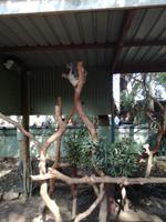 Australien Featherdale Wildlife Park