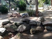 Australien Featherdale Wildlife Park