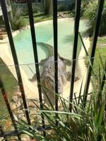 Australien Featherdale Wildlife Park