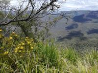Australien Blue Mountains