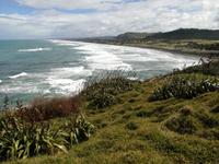 Neuseeland -Matakana