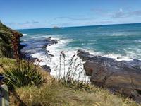 Neuseeland -Matakana