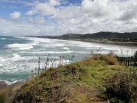 Neuseeland -Matakana