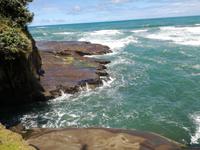 Neuseeland -Matakana