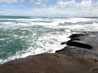 Neuseeland -Matakana