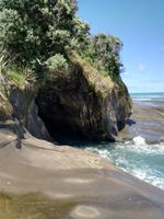 Neuseeland -Matakana