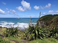 Neuseeland -Matakana