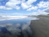 Neuseeland -Matakana