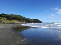 Neuseeland -Matakana