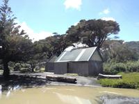 Neuseeland -Matakana