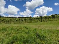 Weingut Bricksbay