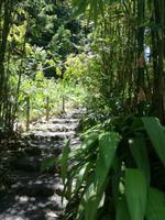 Tahiti Inselrundfahrt