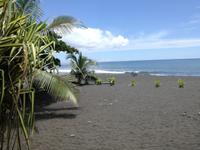 Tahiti Inselrundfahrt