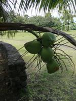 Tahiti Inselrundfahrt