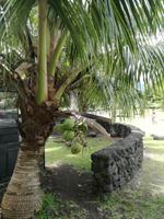 Tahiti Inselrundfahrt