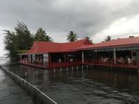 Tahiti Inselrundfahrt