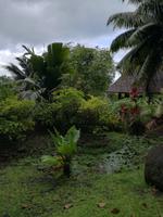 Tahiti Inselrundfahrt