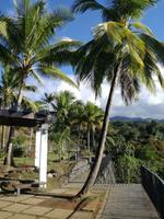 Tahiti Inselrundfahrt