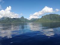  Moorea