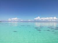 Moorea