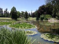 Weingut Concha y Toro