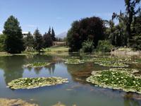 Weingut Concha y Toro