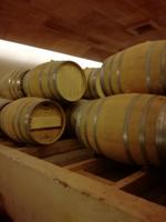 Weingut Concha y Toro