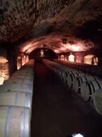 Weingut Concha y Toro