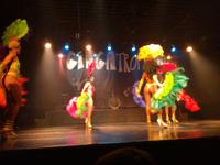 Rio de Janeiro Samba Show