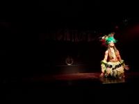 Rio de Janeiro Samba Show