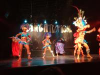 Rio de Janeiro Samba Show