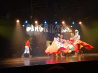 Rio de Janeiro Samba Show