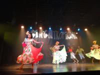 Rio de Janeiro Samba Show