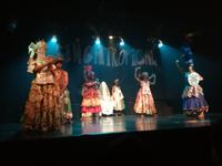 Rio de Janeiro Samba Show