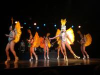 Rio de Janeiro Samba Show