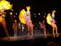 Rio de Janeiro Samba Show