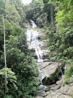 Rio de Janeiro Tijuca-Wald