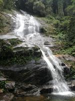 Rio de Janeiro Tijuca-Wald