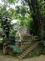 Rio de Janeiro Tijuca-Wald