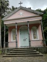 Rio de Janeiro Tijuca-Wald