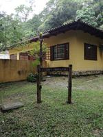 Rio de Janeiro Tijuca-Wald