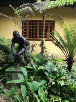 Rio de Janeiro Tijuca-Wald