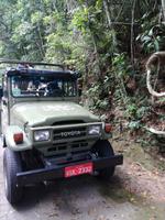 Rio de Janeiro Tijuca-Wald