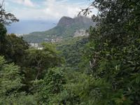 Rio de Janeiro Tijuca-Wald