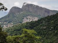 Rio de Janeiro Tijuca-Wald