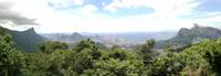 Rio de Janeiro Tijuca-Wald