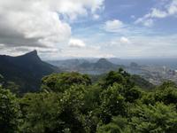Rio de Janeiro Tijuca-Wald