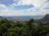 Rio de Janeiro Tijuca-Wald