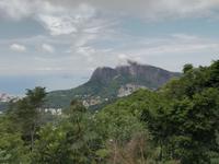 Rio de Janeiro Tijuca-Wald